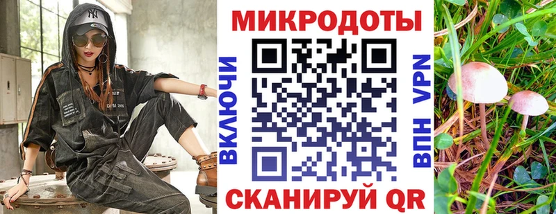 гидра ссылка Строитель Галлюциногенные грибы мицелий